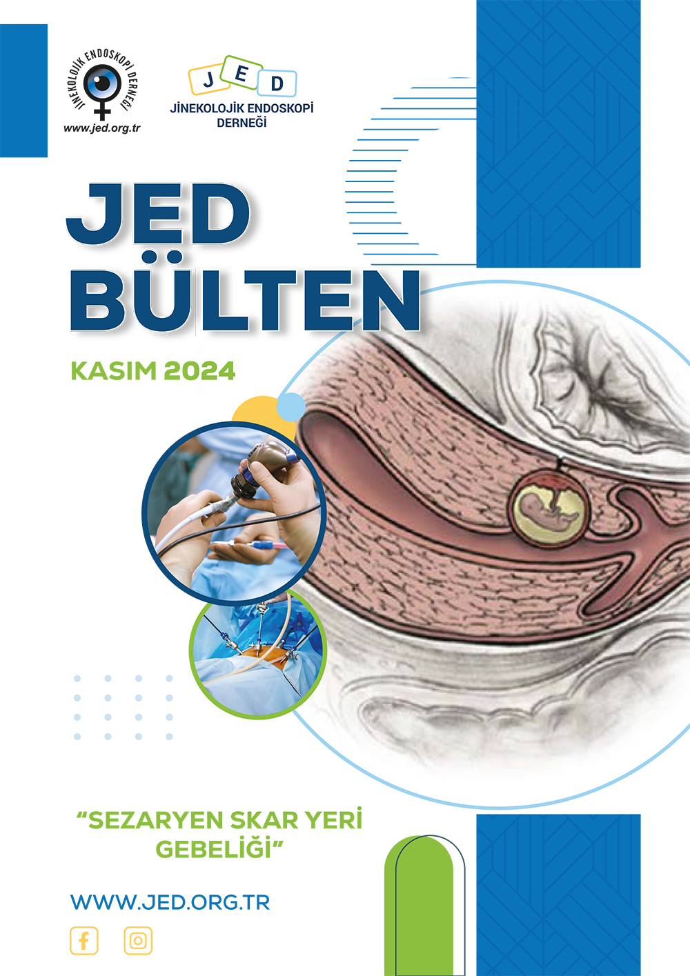 Kasım 2024