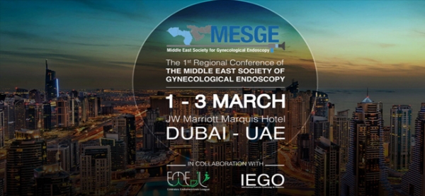 MESGE - Endo Dubai 2017